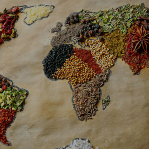 Kitchens of the World