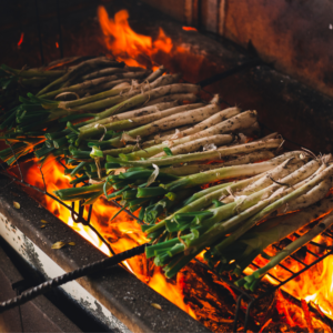 Taming Fire - Master the Art of the Braai